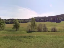 Prodej pole, Pohorská Ves - Janova Ves, 67144 m2