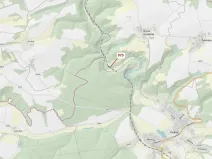 Dražba lesa, Plasy, 1287 m2