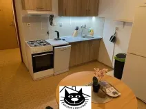 Pronájem bytu 1+1, Příbram - Příbram VIII, Čechovská, 44 m2