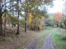 Dražba pole, Jiříkov, 2813 m2