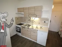 Pronájem bytu 1+kk, České Budějovice - České Budějovice 3, Plzeňská, 21 m2