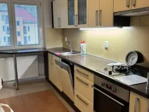 Pronájem bytu 2+1, Ostrov, Šafaříkova, 51 m2