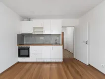 Pronájem bytu 1+kk, České Budějovice - České Budějovice 2, Emy Destinové, 28 m2