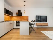 Pronájem bytu 2+kk, Plzeň, Pallova, 49 m2