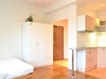 Pronájem bytu 1+kk, Brno - Veveří, Žižkova, 25 m2