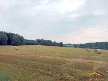 Prodej pole, Horní Radouň - Starý Bozděchov, 237194 m2