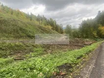 Prodej lesa, Český Dub, 17012 m2