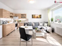 Pronájem bytu 2+kk, Ústí nad Labem - Severní Terasa, Brandtova, 43 m2