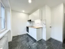 Pronájem bytu 2+1, Ústí nad Labem - Ústí nad Labem-centrum, Důlce, 54 m2