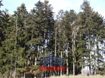 Prodej lesa, Letiny - Svárkov, 12818 m2