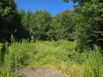 Prodej komerčního pozemku, Hodkovice nad Mohelkou, 6702 m2