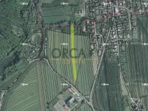 Prodej pole, Zlín, 4956 m2
