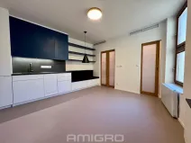 Pronájem bytu 1+kk, Brno, Peroutková, 25 m2