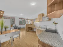 Prodej bytu 1+kk, Praha - Podolí, Dvorecká, 34 m2