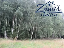 Prodej podílu lesa, Pohledy, 7200 m2