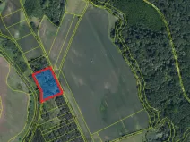 Prodej lesa, Břeclav - Charvátská Nová Ves, 3405 m2