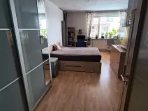 Pronájem bytu 1+kk, Brno, U Leskavy, 47 m2