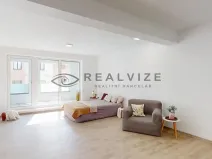 Pronájem bytu 1+kk, České Budějovice, Puklicova, 38 m2