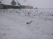 Dražba pole, Škvorec, 1638 m2