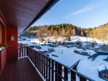 Prodej bytu 1+kk, Žacléř - Prkenný Důl, 37 m2