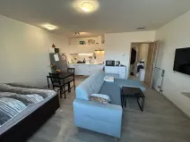 Prodej bytu 1+kk, Brno, Gajdošova, 37 m2