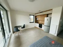 Pronájem bytu 1+kk, Plzeň - Východní Předměstí, Kartónová, 30 m2