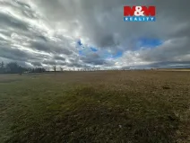 Prodej pozemku pro bydlení, Větřkovice, 4806 m2