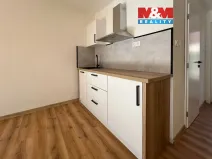 Pronájem rodinného domu, Chomutov, Lipská, 38 m2