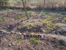 Pronájem zahrady, Kryry, 367 m2