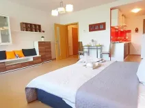 Pronájem bytu 1+kk, Brno, Šemberova, 51 m2