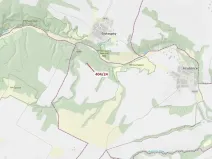 Dražba lesa, Ivančice, 741 m2