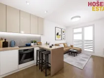 Dražba bytu 1+kk, Brno, Netušilova, 38 m2