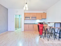 Pronájem bytu 1+kk, Brno - Staré Brno, Trýbova, 34 m2
