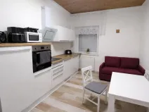 Pronájem bytu 2+1, Ústí nad Labem - Střekov, Železničářská, 56 m2