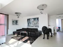 Pronájem bytu 3+kk, Plzeň, Goldscheiderova, 250 m2