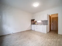 Pronájem bytu 1+kk, České Budějovice - České Budějovice 3, Plzeňská, 21 m2