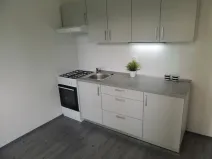 Pronájem bytu 1+1, Ostrava - Mariánské Hory, Gen. Hrušky, 38 m2