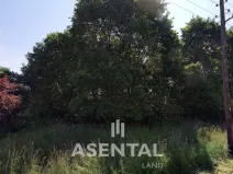 Prodej komerčního pozemku, Karviná - Lázně Darkov, U Olše, 7279 m2