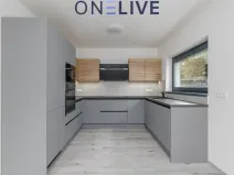 Pronájem rodinného domu, Plzeň, Na Plzeňce, 125 m2