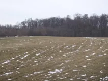 Dražba pole, Nová Sídla, 66956 m2