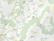 Dražba lesa, Vilice, 1105 m2