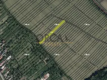 Prodej pole, Radějov, 1222 m2