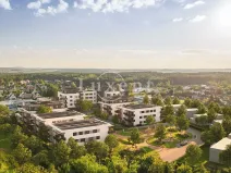 Pronájem obchodního prostoru, Kladno, 159 m2