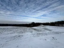 Prodej louky, Bruzovice, 94427 m2