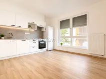 Pronájem bytu 2+kk, České Budějovice, Hálkova, 40 m2