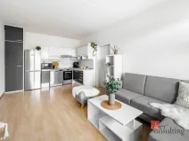 Prodej bytu 2+kk, České Budějovice - České Budějovice 2, J. Bendy, 39 m2