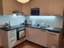 Pronájem bytu 1+1, Ústí nad Labem, Švestková, 38 m2