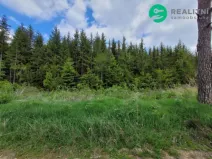 Prodej lesa, Počátky - Heřmaneč, 72939 m2