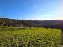 Prodej zahrady, Vyškov, 330 m2