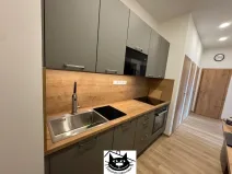 Pronájem bytu 2+kk, Praha - Podolí, Podolská, 62 m2